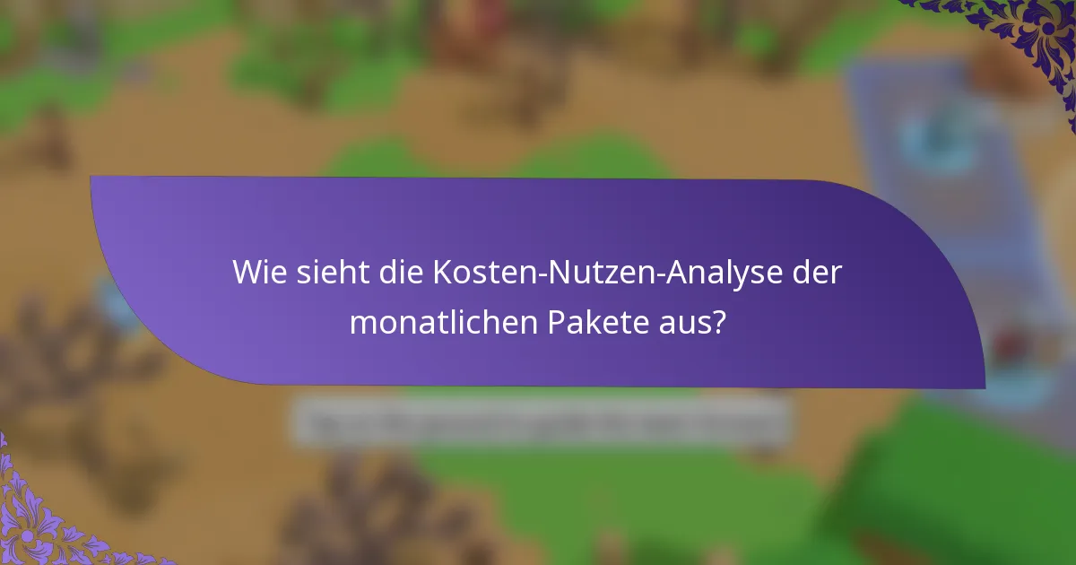 Wie sieht die Kosten-Nutzen-Analyse der monatlichen Pakete aus?